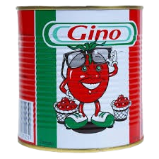 gino-removebg-preview