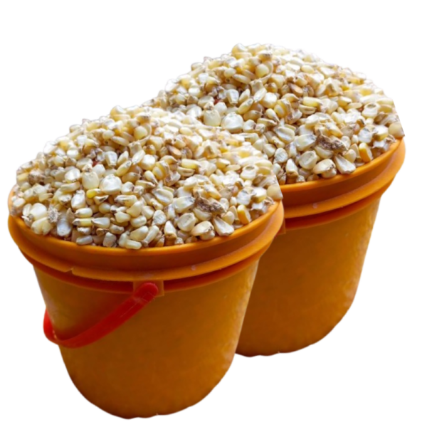 White Maize Grain 2 Paint Rubbers