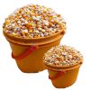 yellow maize