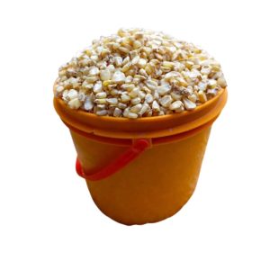 white maize