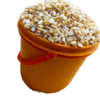 maize