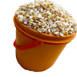 maize