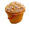 yellow maize