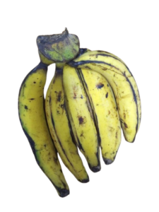plantain