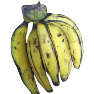 plantain