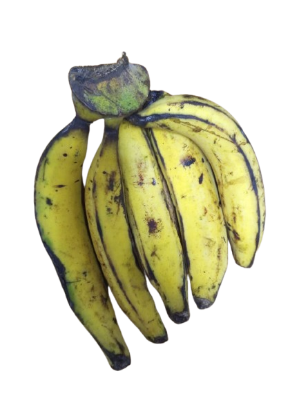 plantain