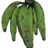 un-ripe plantains