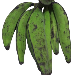 un-ripe plantains